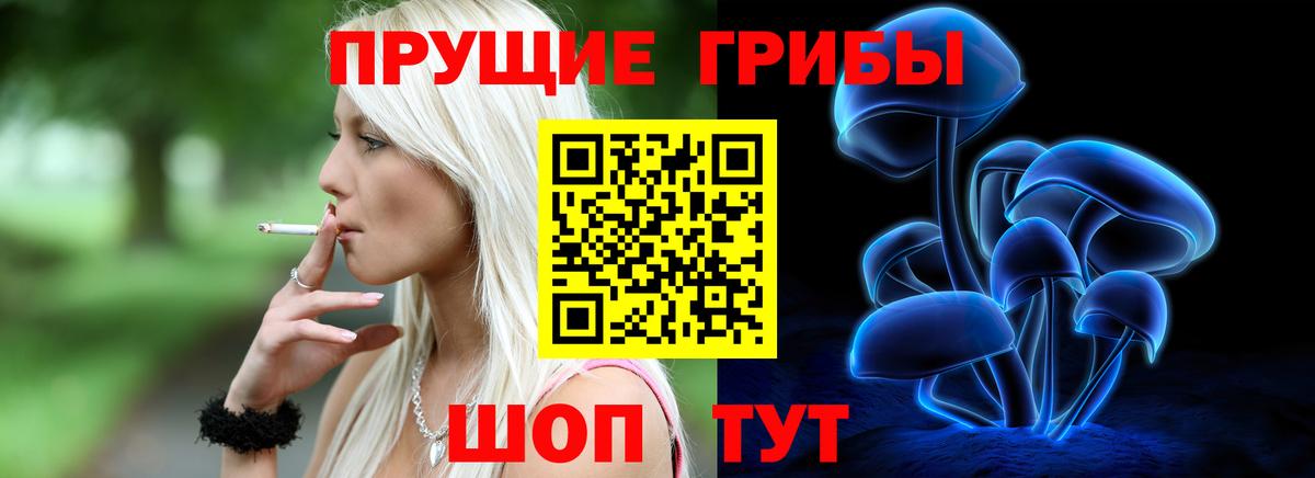Галлюциногенные грибы MAGIC MUSHROOMS  Вход с VPN  Костомукша 